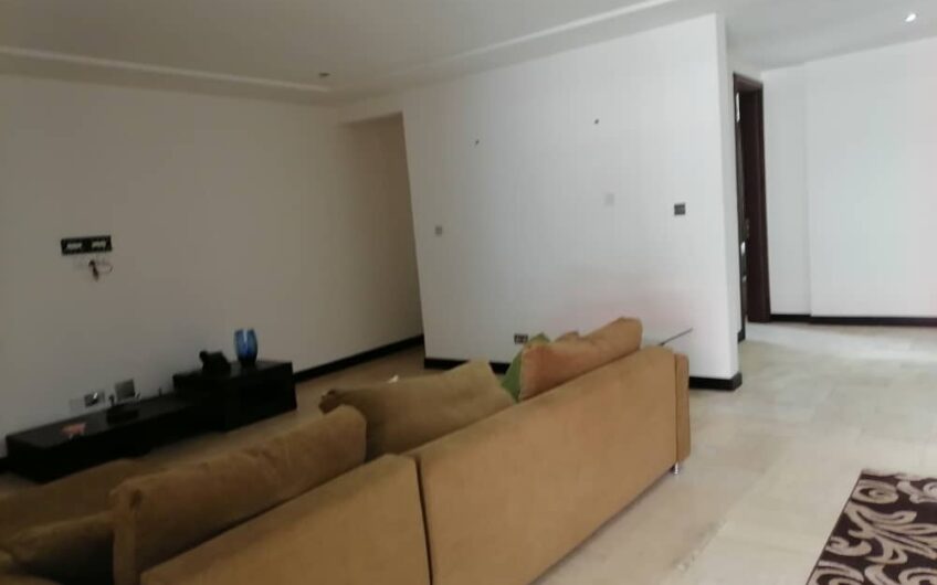 Two Bedroom Furnished Luxury Apartment