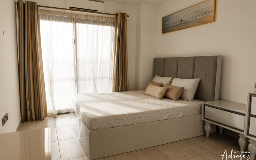 Two bedroom Luxury Furnished Apartment at East Legon